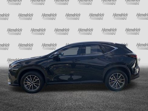 Used 2025 Lexus NX 300h AWD w/ Accessory Package (2T) image 7