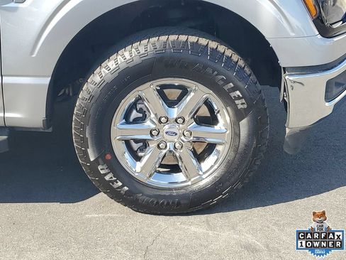Used 2025 Ford F150 XLT w/ Equipment Group 301A Standard AWD/4WD image 5