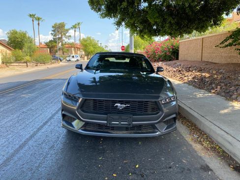 Used 2025 Ford Mustang Premium RWD image 5