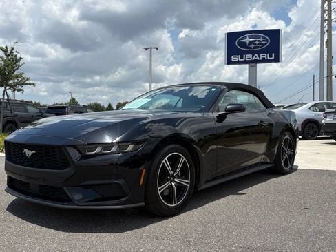 Used 2024 Ford Mustang Premium RWD image 1