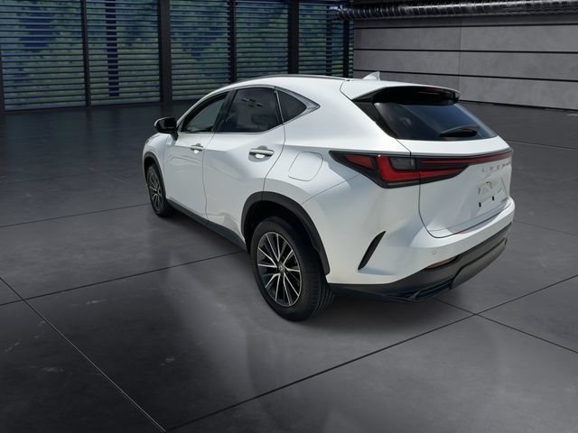 Certified 2024 Lexus NX 250 FWD image 6