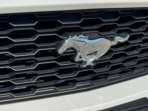 Used 2016 Ford Mustang Premium w/ Equipment Group 201A RWD image 9