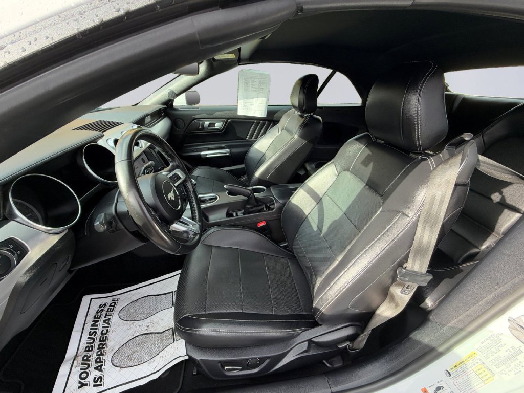 Used 2019 Ford Mustang GT Premium RWD image 12