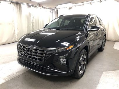 Certified 2023 Hyundai Tucson Limited