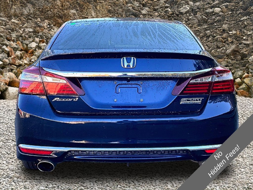 Used 2017 Honda Accord Sport Special Edition image 4