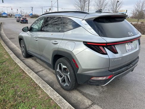 Used 2024 Hyundai Tucson Limited image 4