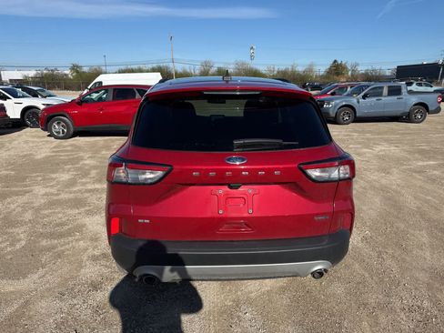 Used 2020 Ford Escape SE Sport image 13