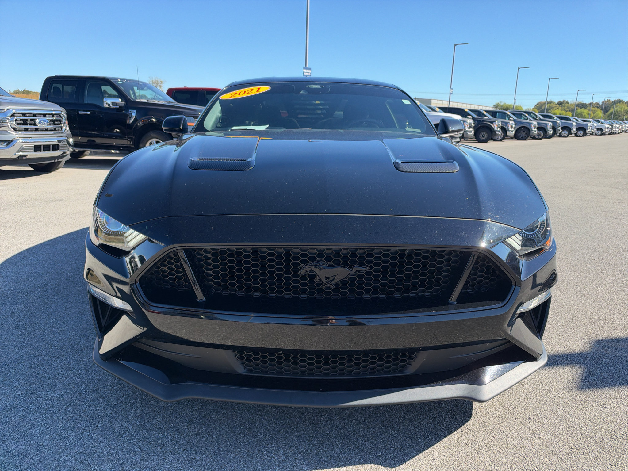 Used 2021 Ford Mustang GT w/ Equipment Group 301A RWD image 2