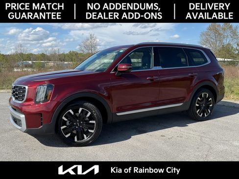 Used 2023 Kia Telluride SX image 4