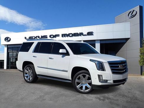 Used 2019 Cadillac Escalade Luxury RWD image 1