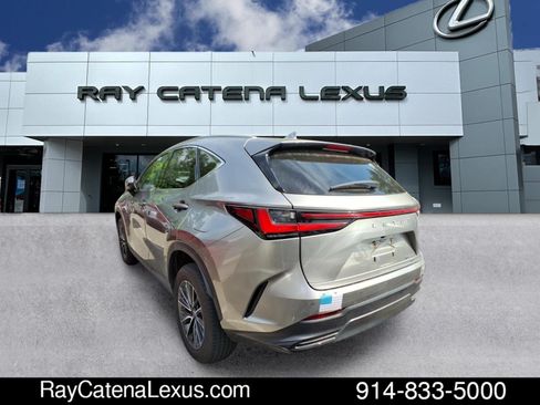 Used 2023 Lexus NX 350 AWD image 4