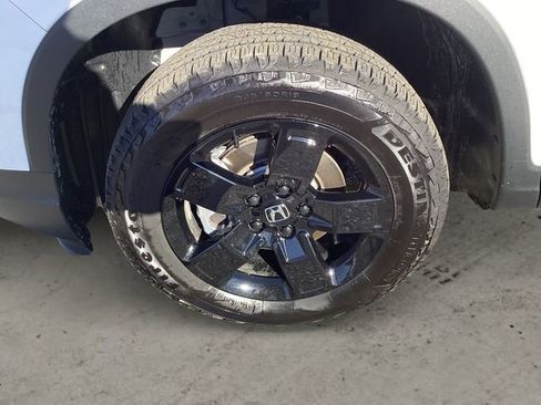 Used 2025 Honda Ridgeline Black Edition image 14