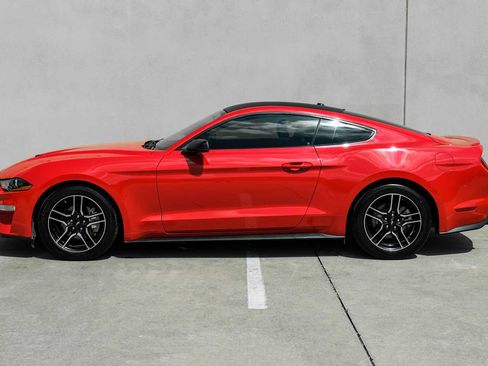 Used 2019 Ford Mustang Premium RWD image 11
