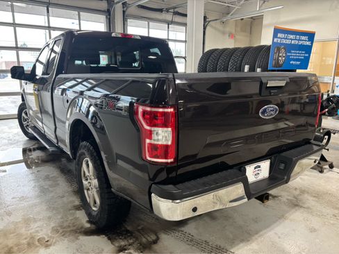 Used 2019 Ford F150 XLT w/ Equipment Group 302A Luxury image 5