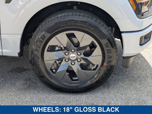 New 2025 Ford F150 STX w/ Equipment Group 200A image 12