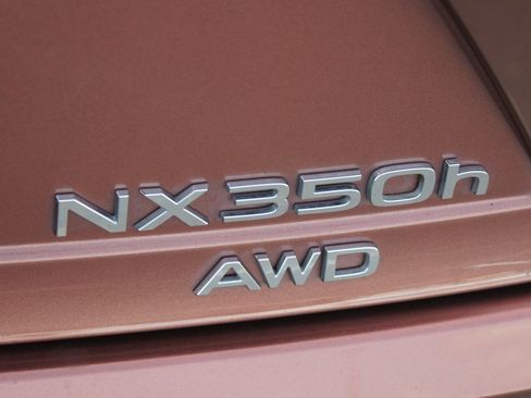 Used 2025 Lexus NX 350h AWD w/ Cold Area Package image 18