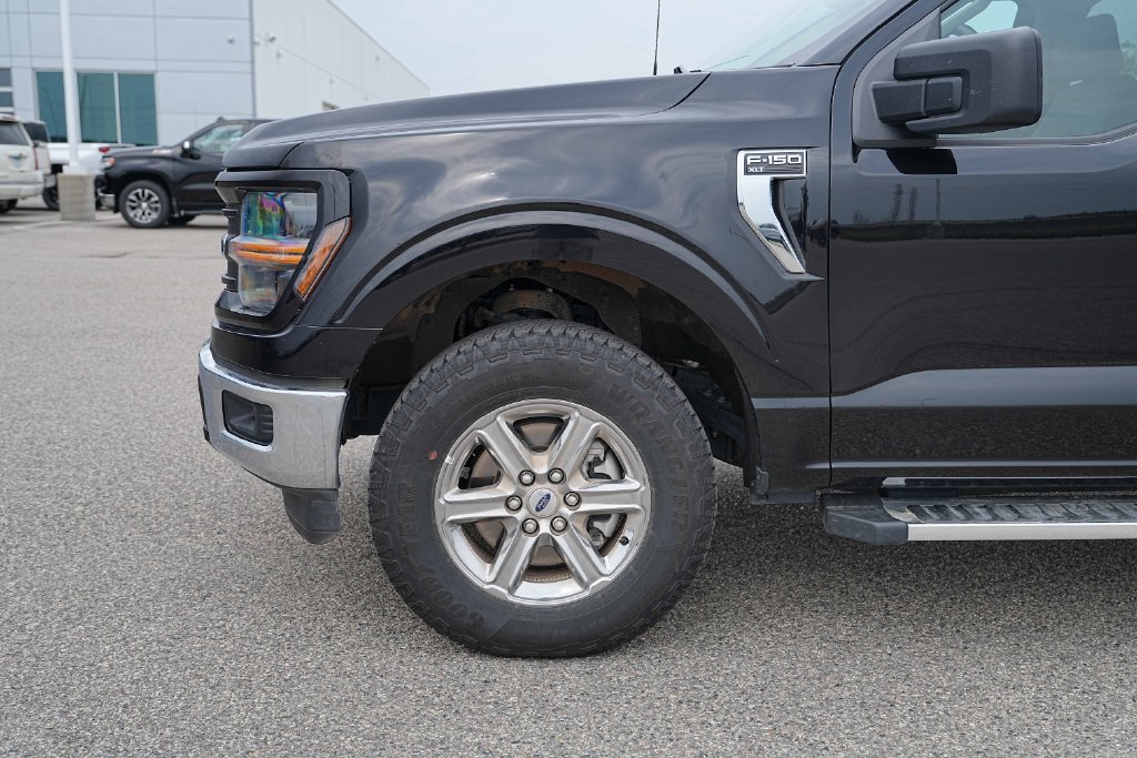 Used 2025 Ford F150 XLT w/ Equipment Group 301A Standard AWD/4WD image 12