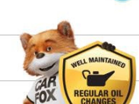 Used 2020 Ford Mustang Premium w/ Equipment Group 201A image 5