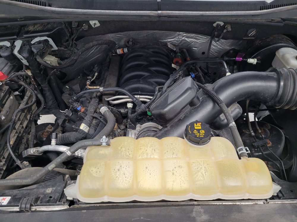 Used 2019 Ford F150 XLT RWD image 30