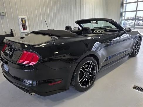 Used 2019 Ford Mustang GT Premium w/ Equipment Group 401A image 41