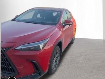 Certified 2024 Lexus NX 350 AWD w/ Cold Area Package