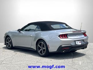 Certified 2024 Ford Mustang Premium RWD video 2