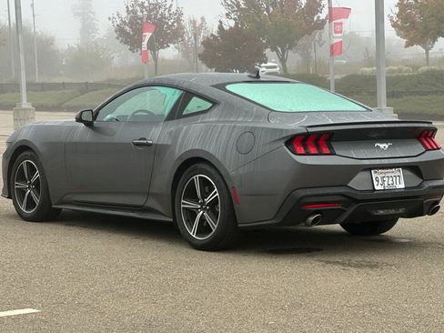 Used 2024 Ford Mustang Premium image 6