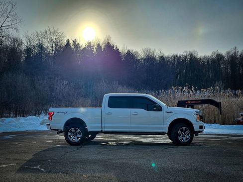 Used 2019 Ford F150 XLT w/ Equipment Group 302A Luxury image 3