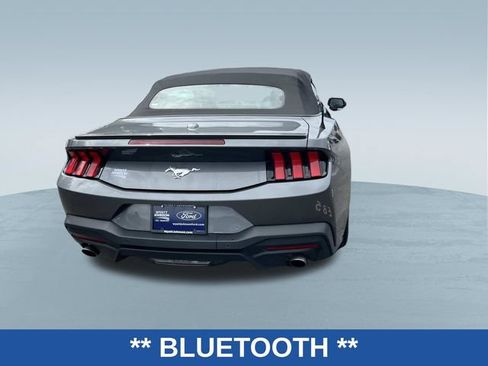 Used 2024 Ford Mustang Premium RWD image 4