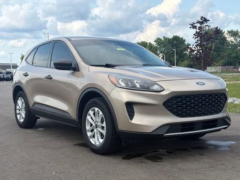 Used 2020 Ford Escape S AWD/4WD image 1