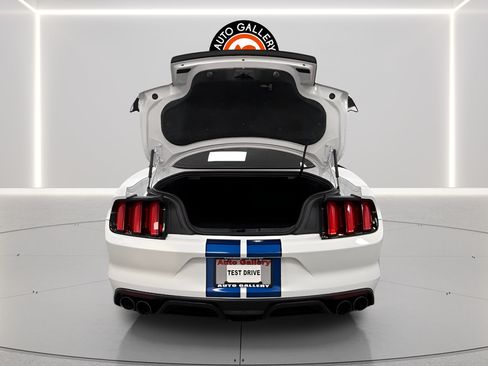 Used 2017 Ford Mustang Shelby GT350 w/ Electronics Package RWD image 9