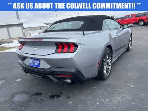 Used 2025 Ford Mustang Premium w/ Wheel & Stripe Package image 4