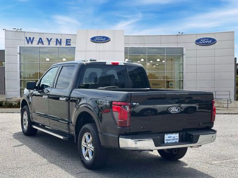 Used 2025 Ford F150 XLT w/ Equipment Group 301A Standard AWD/4WD image 4