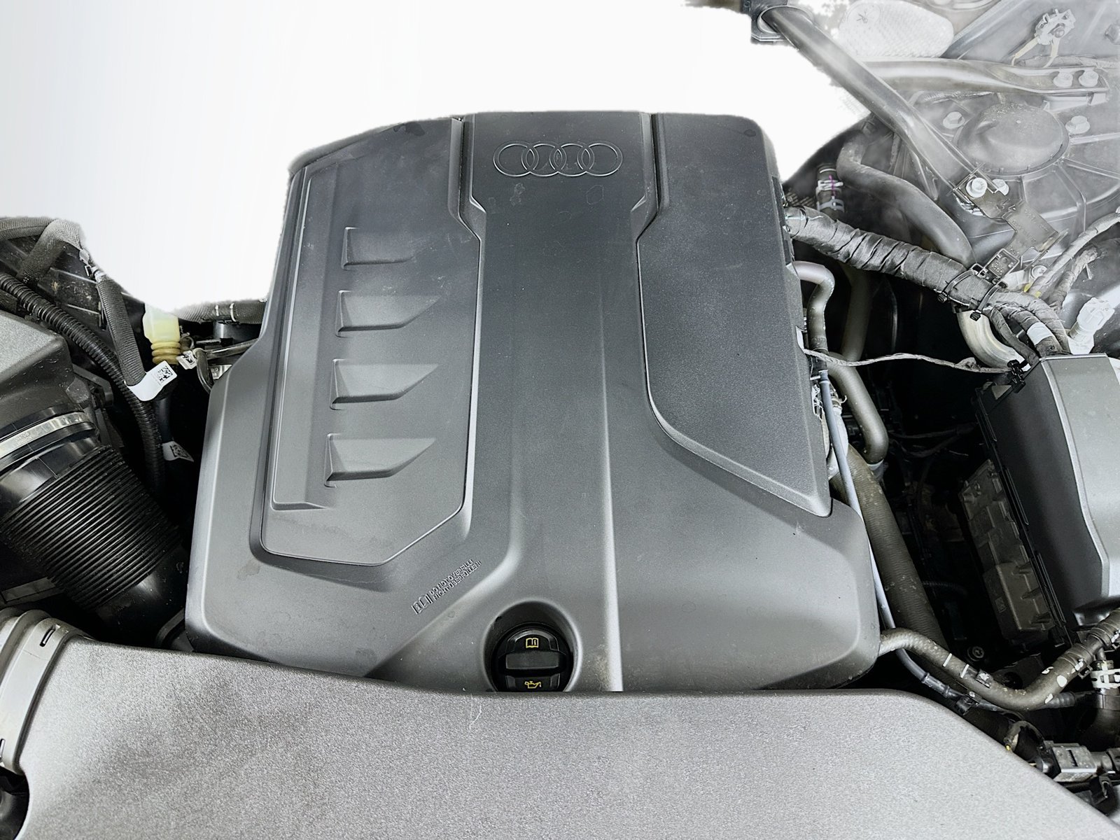 Used 2025 Audi Q5 Premium w/ Premium Plus AWD/4WD image 13