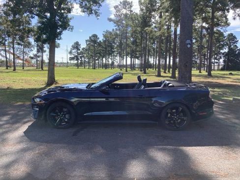 Used 2021 Ford Mustang GT Premium w/ Equipment Group 401A image 6