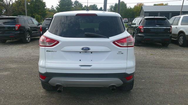 Used 2014 Ford Escape SE AWD/4WD image 4