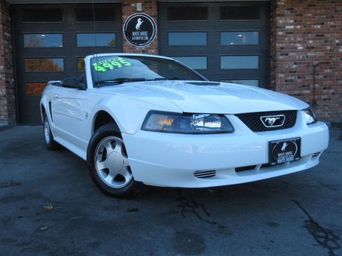 Used 2001 Ford Mustang Convertible image 2