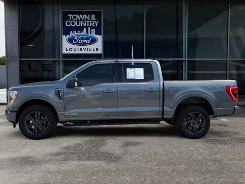 Used 2023 Ford F150 XLT w/ Equipment Group 302A High AWD/4WD image 6