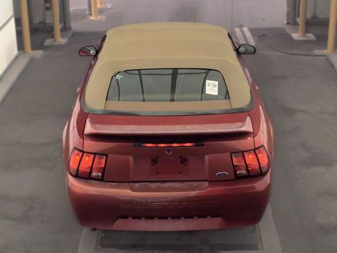 Used 2000 Ford Mustang Convertible RWD image 6