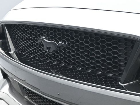 Used 2018 Ford Mustang GT Premium w/ Equipment Group 401A image 14