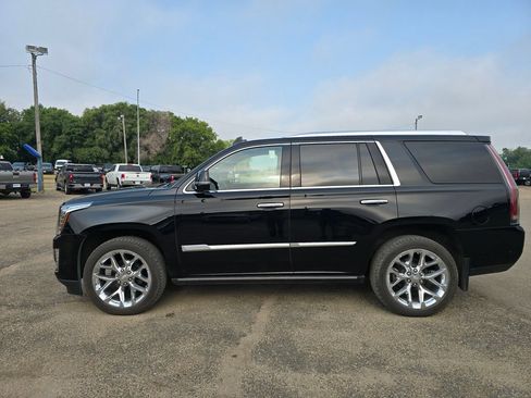 Used 2020 Cadillac Escalade Platinum AWD/4WD image 1