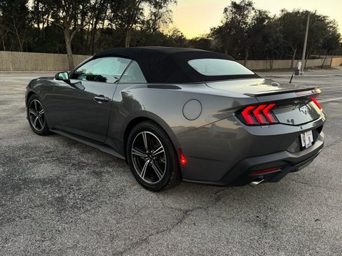 Used 2024 Ford Mustang Premium image 6