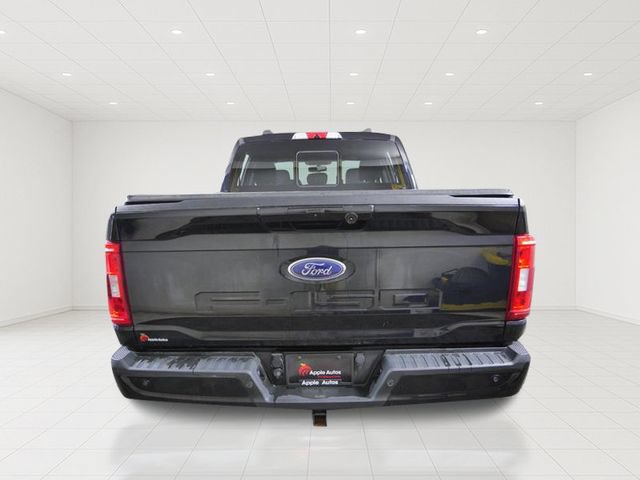 Used 2021 Ford F150 XLT w/ Equipment Group 302A High AWD/4WD image 6