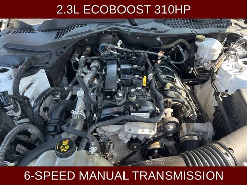 Used 2022 Ford Mustang Coupe w/ Black Accent Package image 5