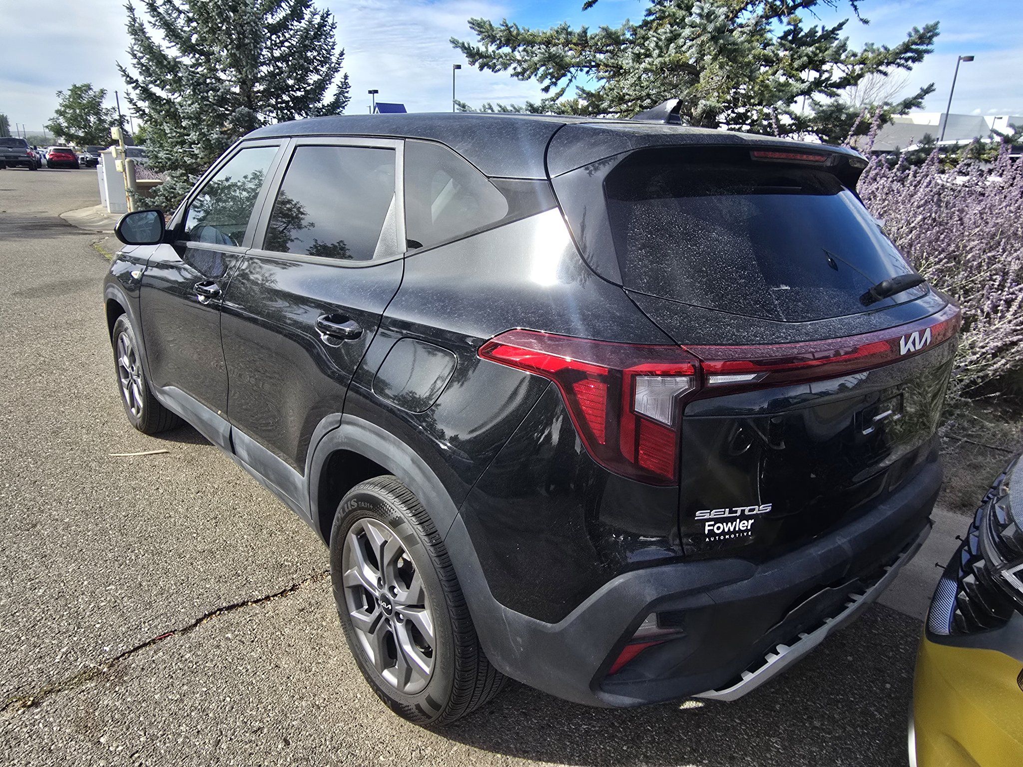 Used 2024 Kia Seltos LX AWD/4WD image 14