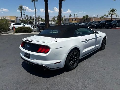 Used 2019 Ford Mustang Premium RWD image 5