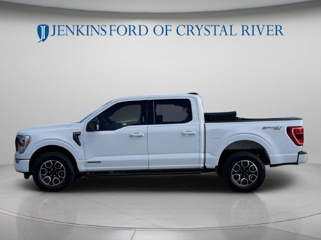 Used 2022 Ford F150 XLT w/ Equipment Group 302A High AWD/4WD image 10