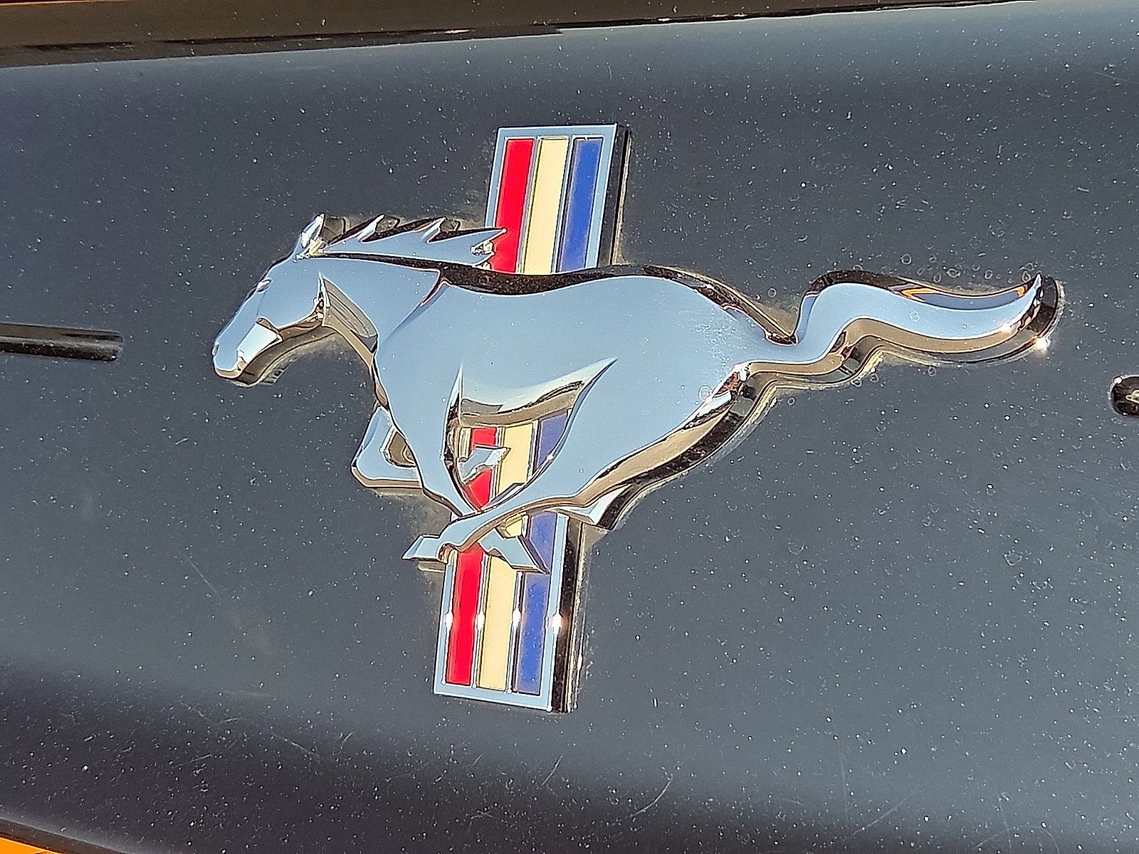 Certified 2019 Ford Mustang Premium w/ Equipment Group 201A RWD image 9