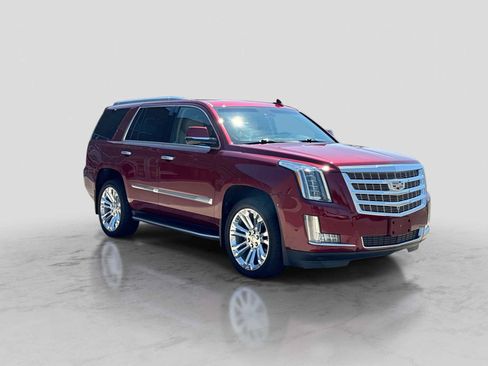 Used 2019 Cadillac Escalade Luxury w/ LPO, Radiant Package AWD/4WD image 8