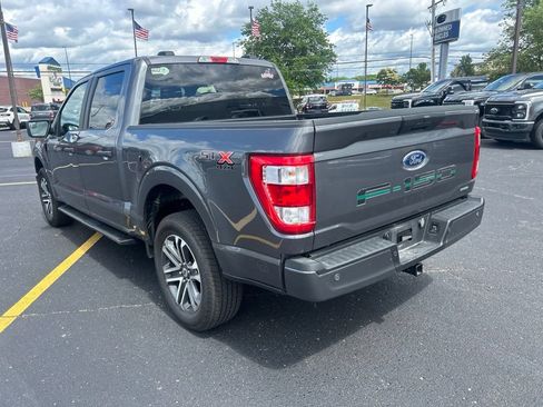 Used 2023 Ford F150 XL w/ STX Appearance Package AWD/4WD image 7